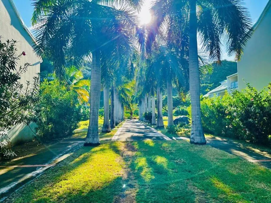 Daire Le Palmier Bleu, Cocon Tropical, Plage & Piscine Anse Marcel Sint Maarten